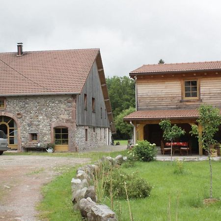 Gites Typiques Au Coeur Des Hautes Vosges Saulxures-sur-Moselotte المظهر الخارجي الصورة