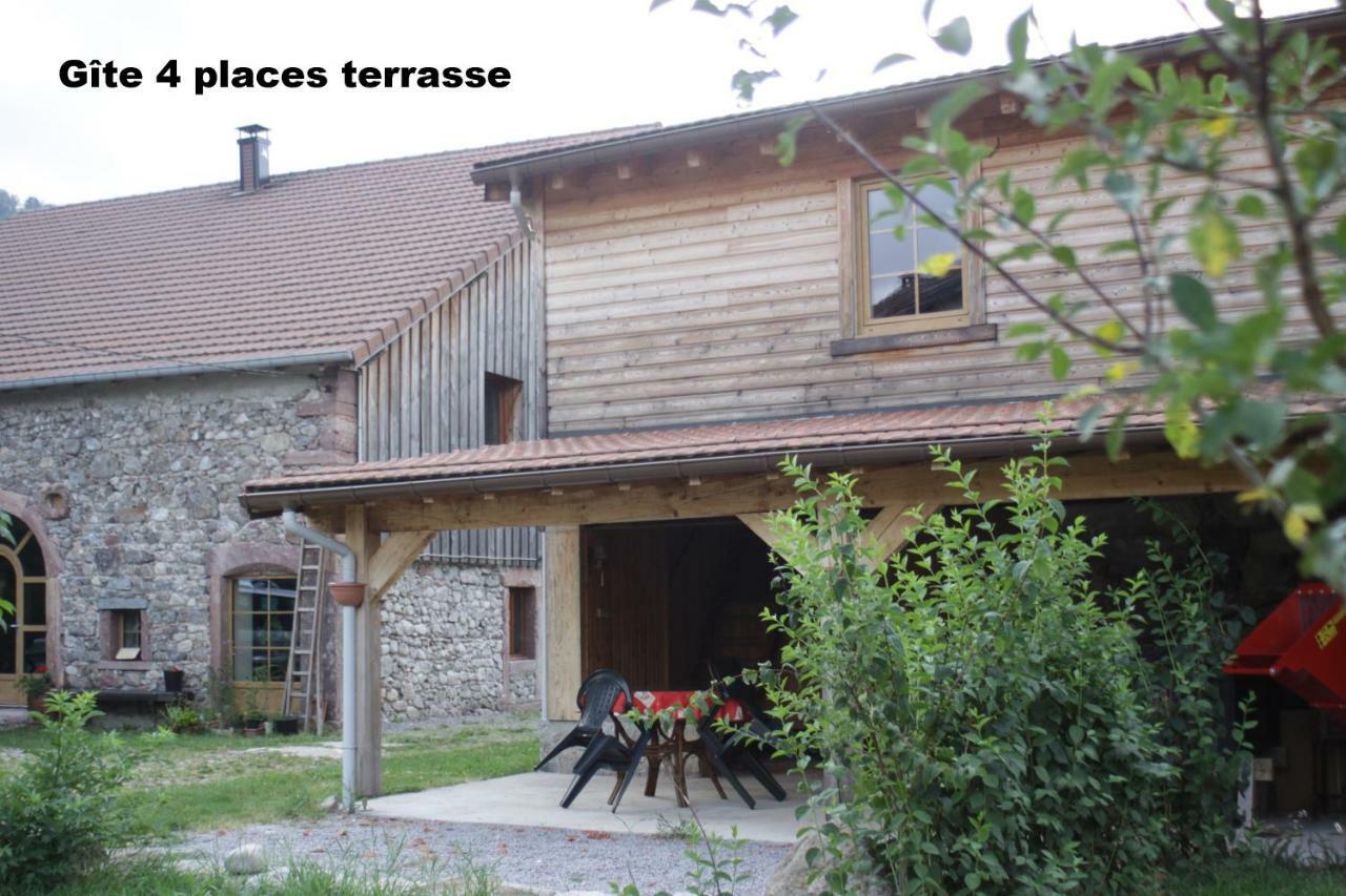 Gites Typiques Au Coeur Des Hautes Vosges Saulxures-sur-Moselotte المظهر الخارجي الصورة