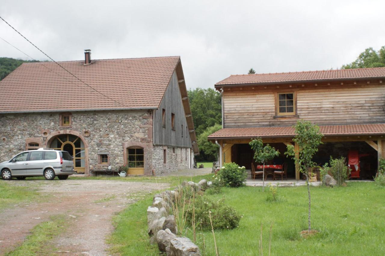 Gites Typiques Au Coeur Des Hautes Vosges Saulxures-sur-Moselotte المظهر الخارجي الصورة